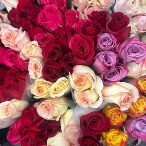 Meet your Posher, Valerie